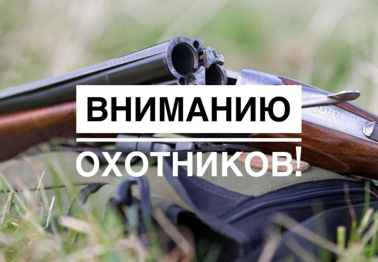 Охота. Охота.